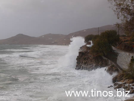 thalassa 317
